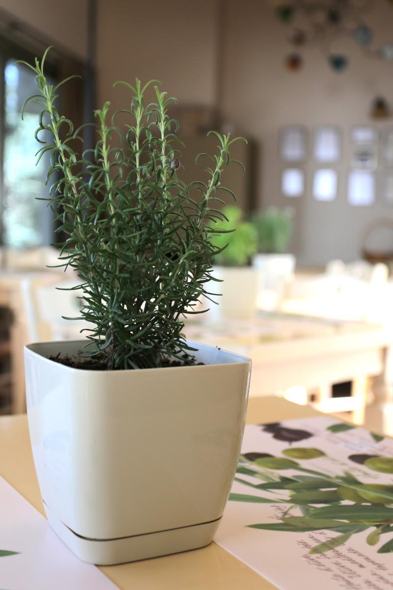 Achlada - Mourtzanakis Residence Eksteriør billede